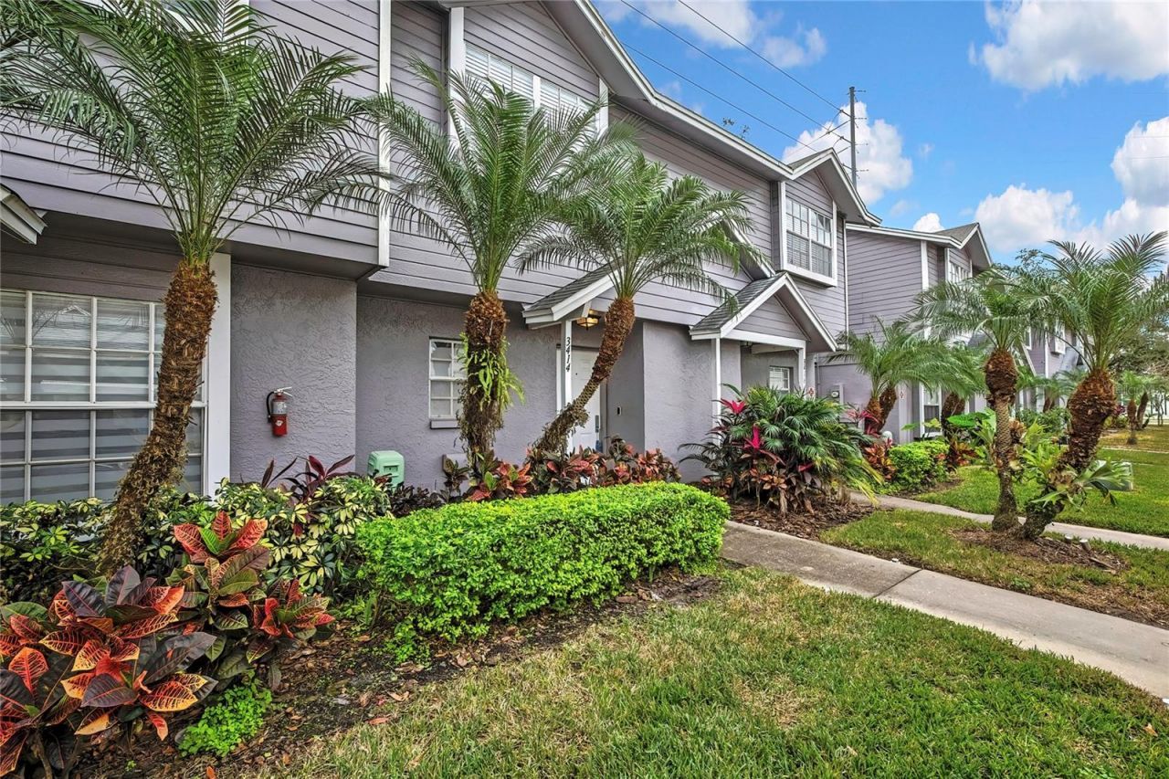 3414 Arbor Oaks Court, Tampa, FL 33614 Photo