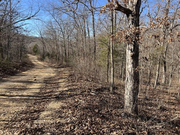 000 Pr Off 63 Hwy , Mammoth Spring, AR 72554