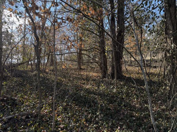 000 St. Cloud Drive, Cape Fair, MO 65624