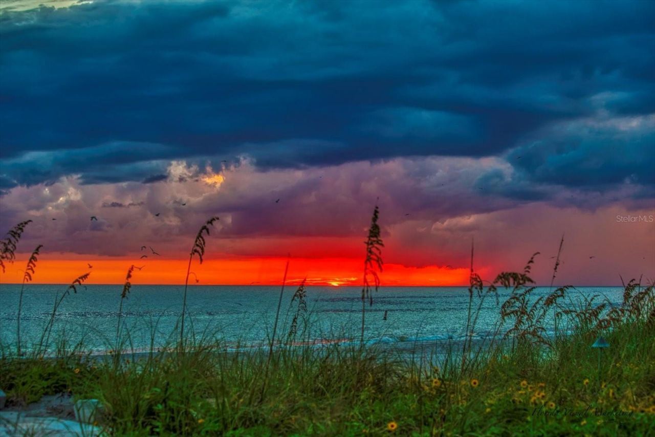 15564 Gulf Boulevard, Redington Beach, FL 33708 Photo