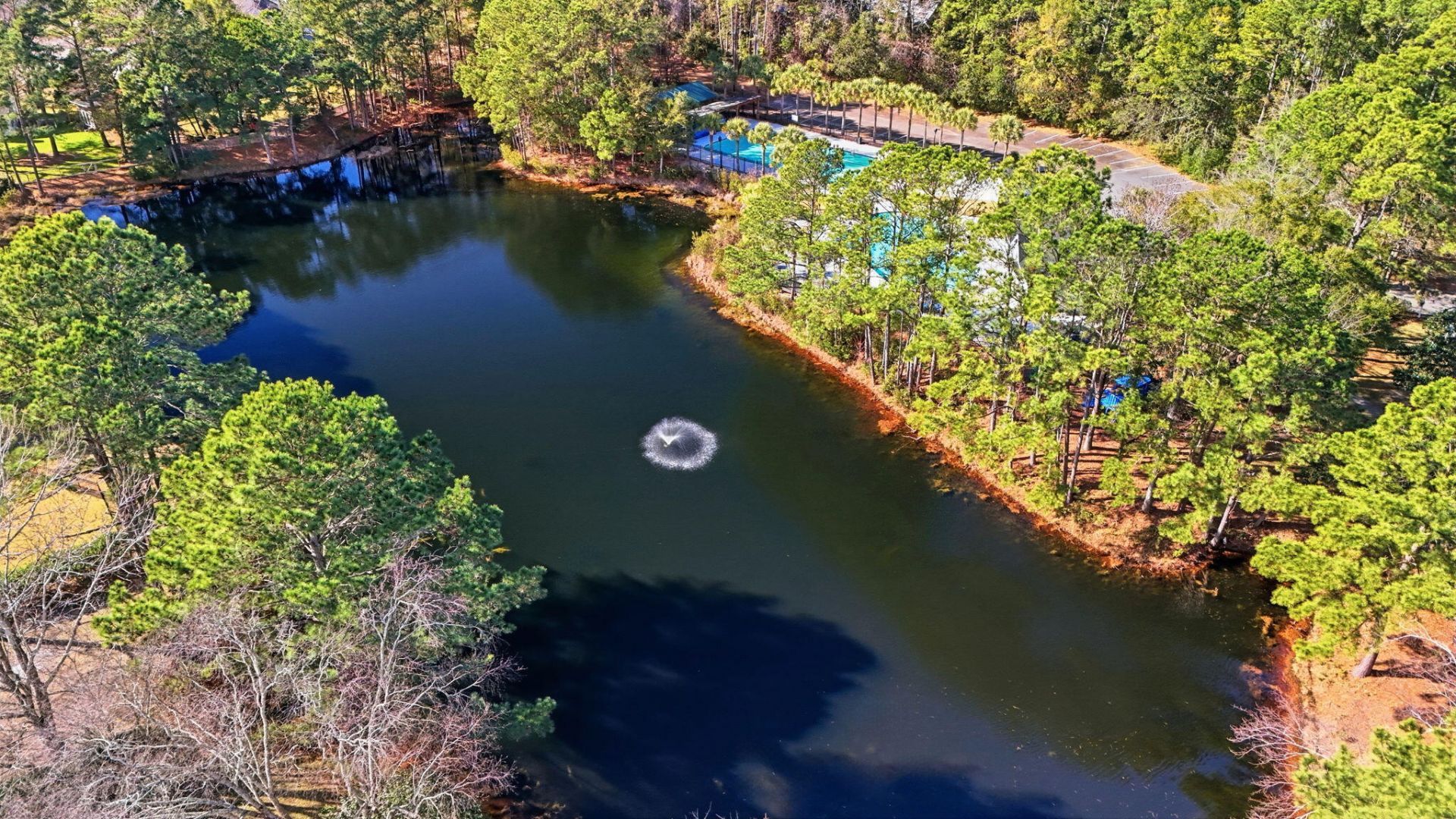 3334 Merion Place Photo 52