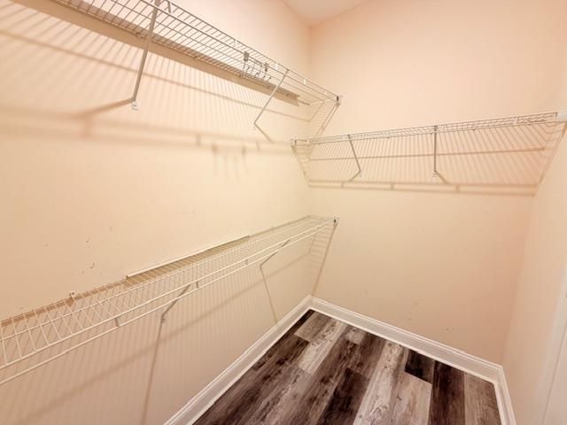 331 Botany Bay Pl. Photo 13