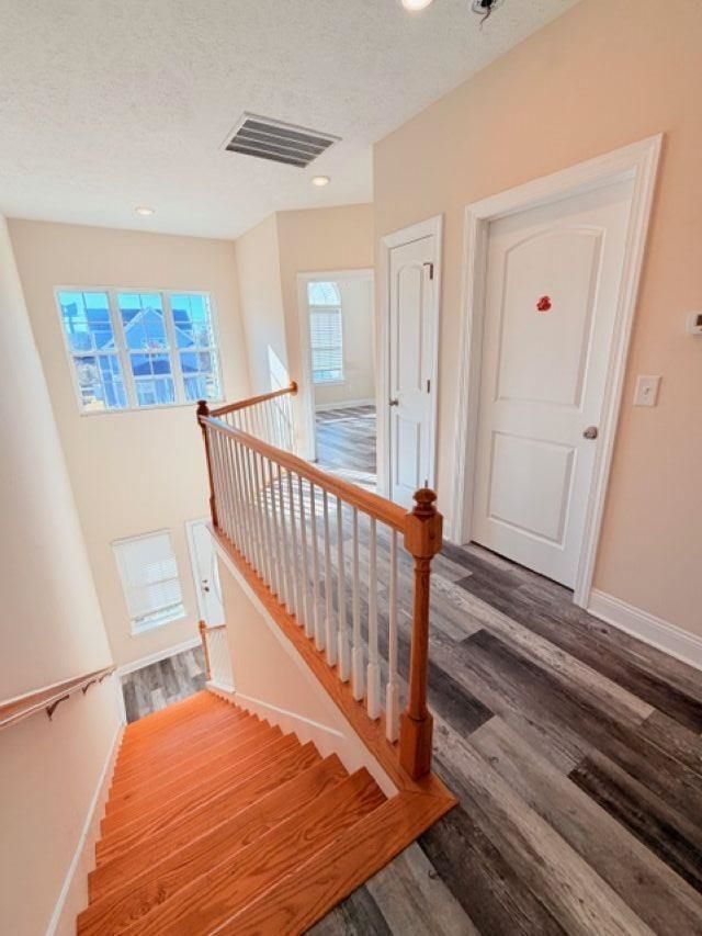 331 Botany Bay Pl. Photo 22