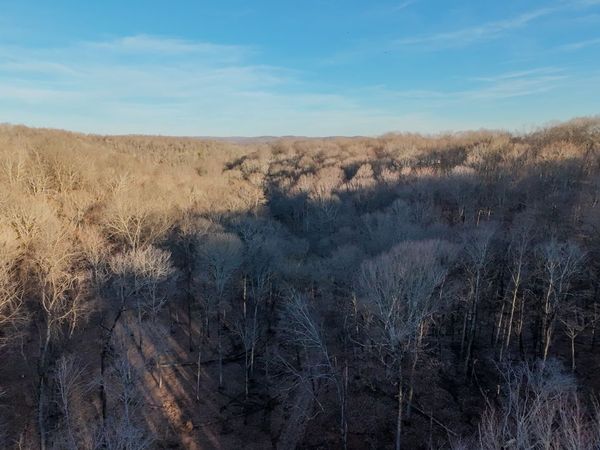 1843D Garrison Branch Rd, Unit 3, Cottontown, TN 37048