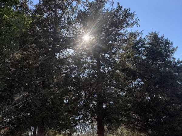 000 Main Street, West Point, AR 72178