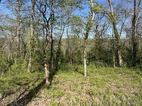 148 Jabin Farm Road, Wright City, MO 63390