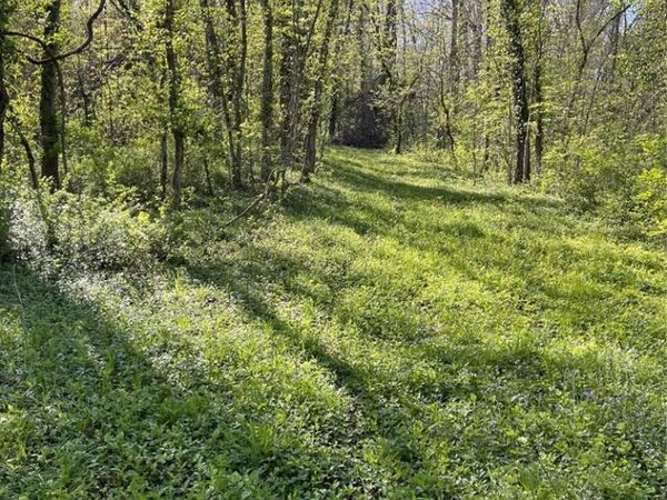 100 Jabin Farm Road, Wright City, MO 63390