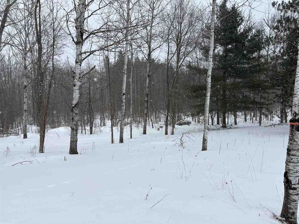 5 Red Pine Run, Charlevoix, MI 49720