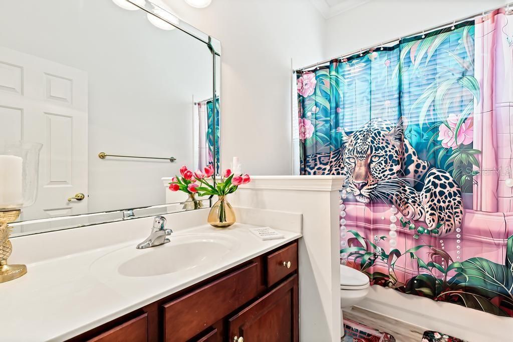 7843 Mount Ranier Drive, Jacksonville, FL 32256 Photo