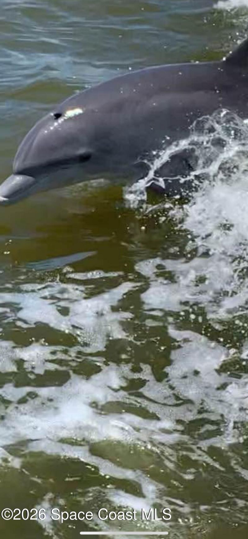 700 Milford Point Drive, Merritt Island, FL 32952 Photo