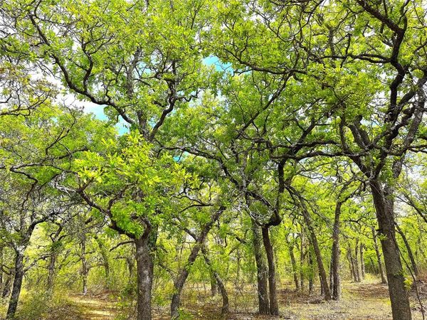 TBD Turpin Lake Road, Poolville, TX 76487