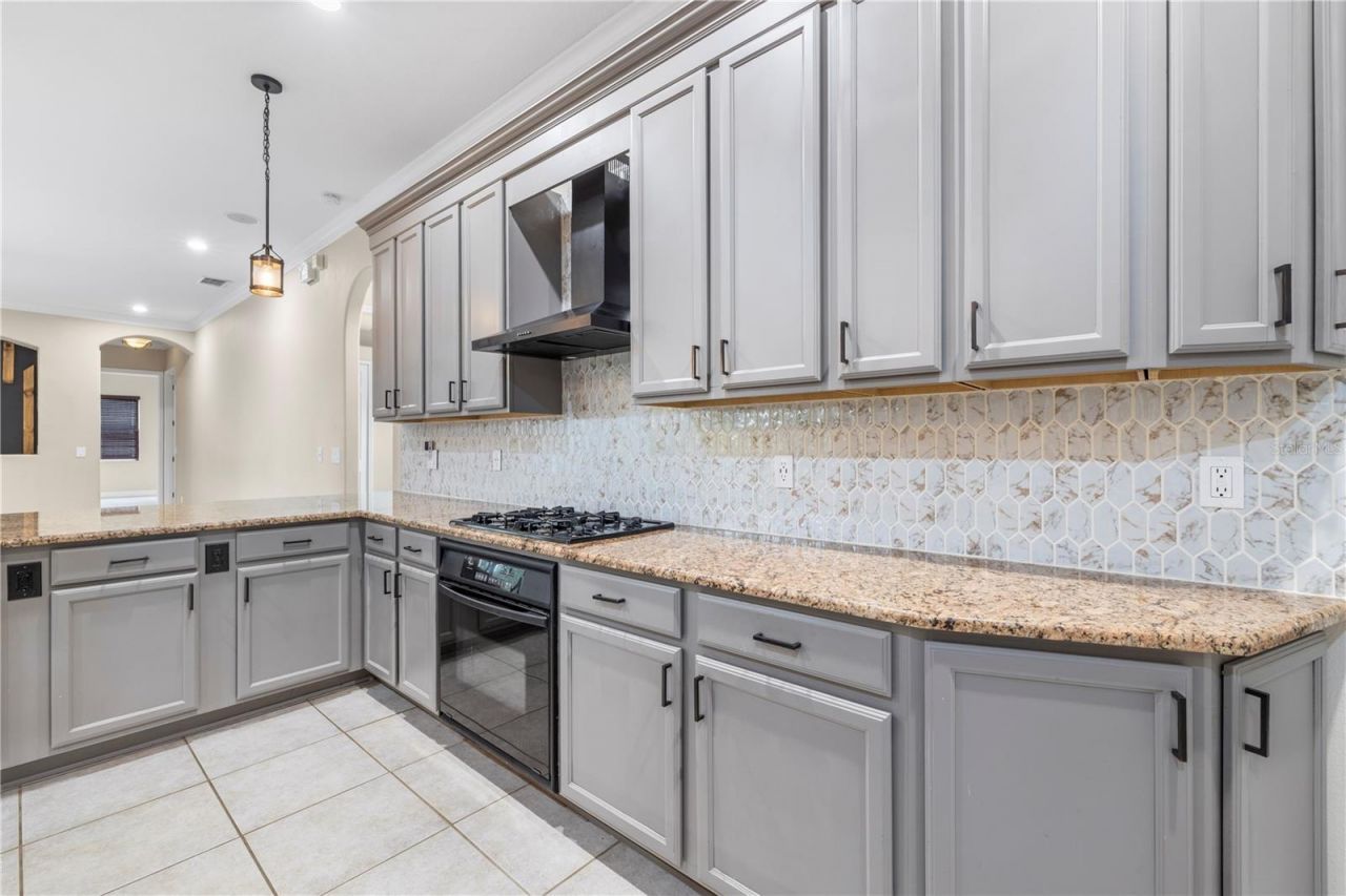 3640 Ballastone Drive, Land O Lakes, FL 34638 Photo