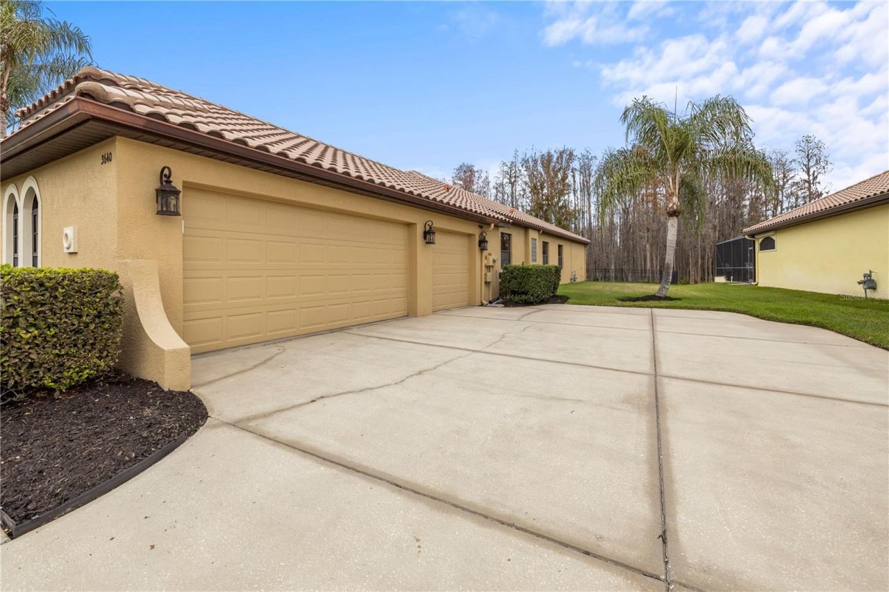 3640 Ballastone Drive, Land O Lakes, FL 34638 Photo