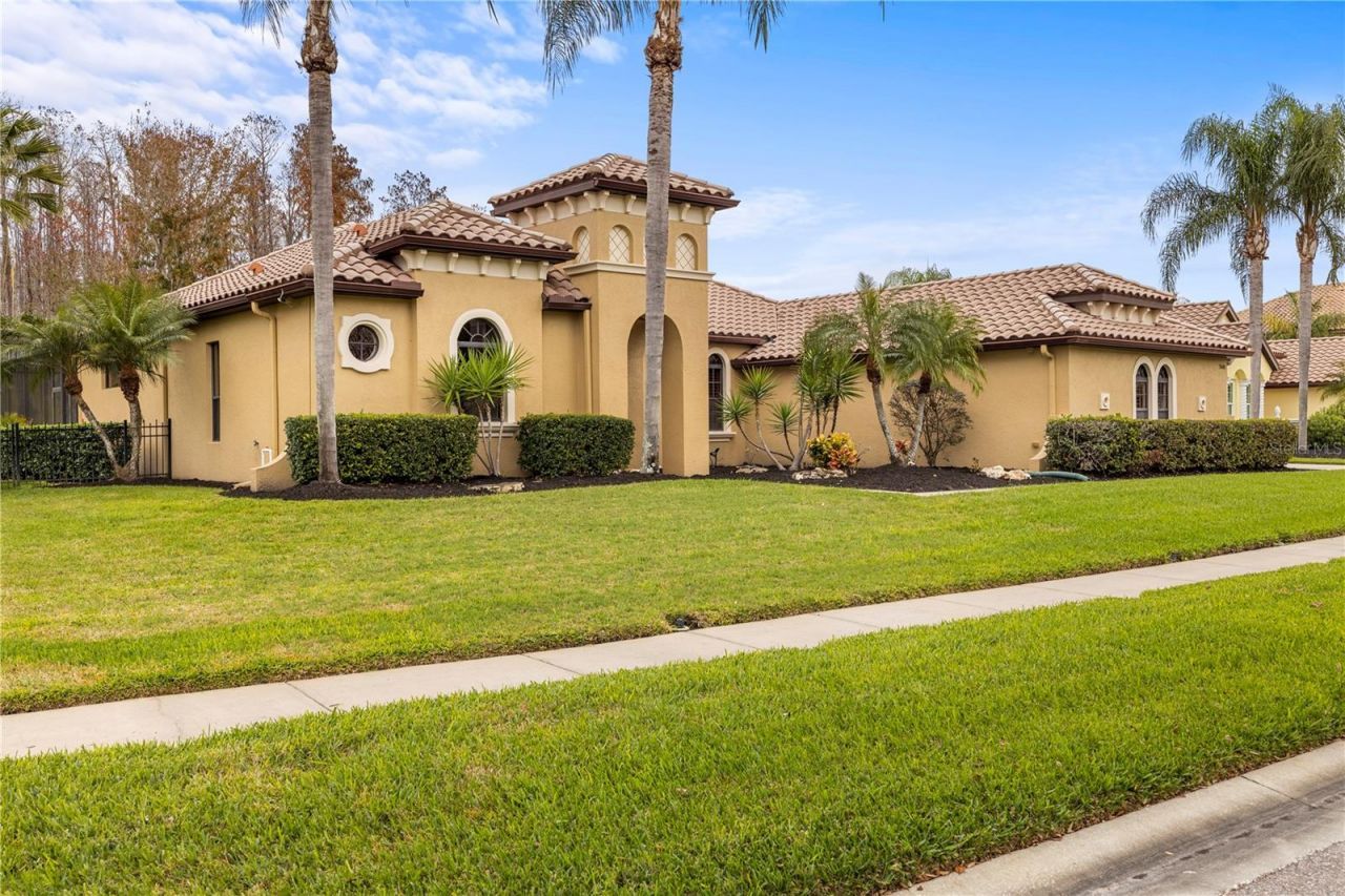 3640 Ballastone Drive, Land O Lakes, FL 34638 Photo