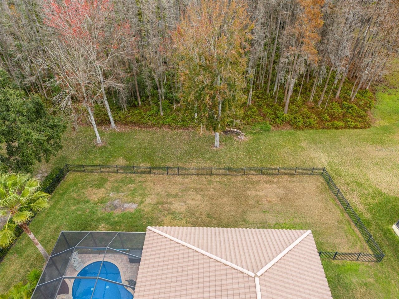 3640 Ballastone Drive, Land O Lakes, FL 34638 Photo