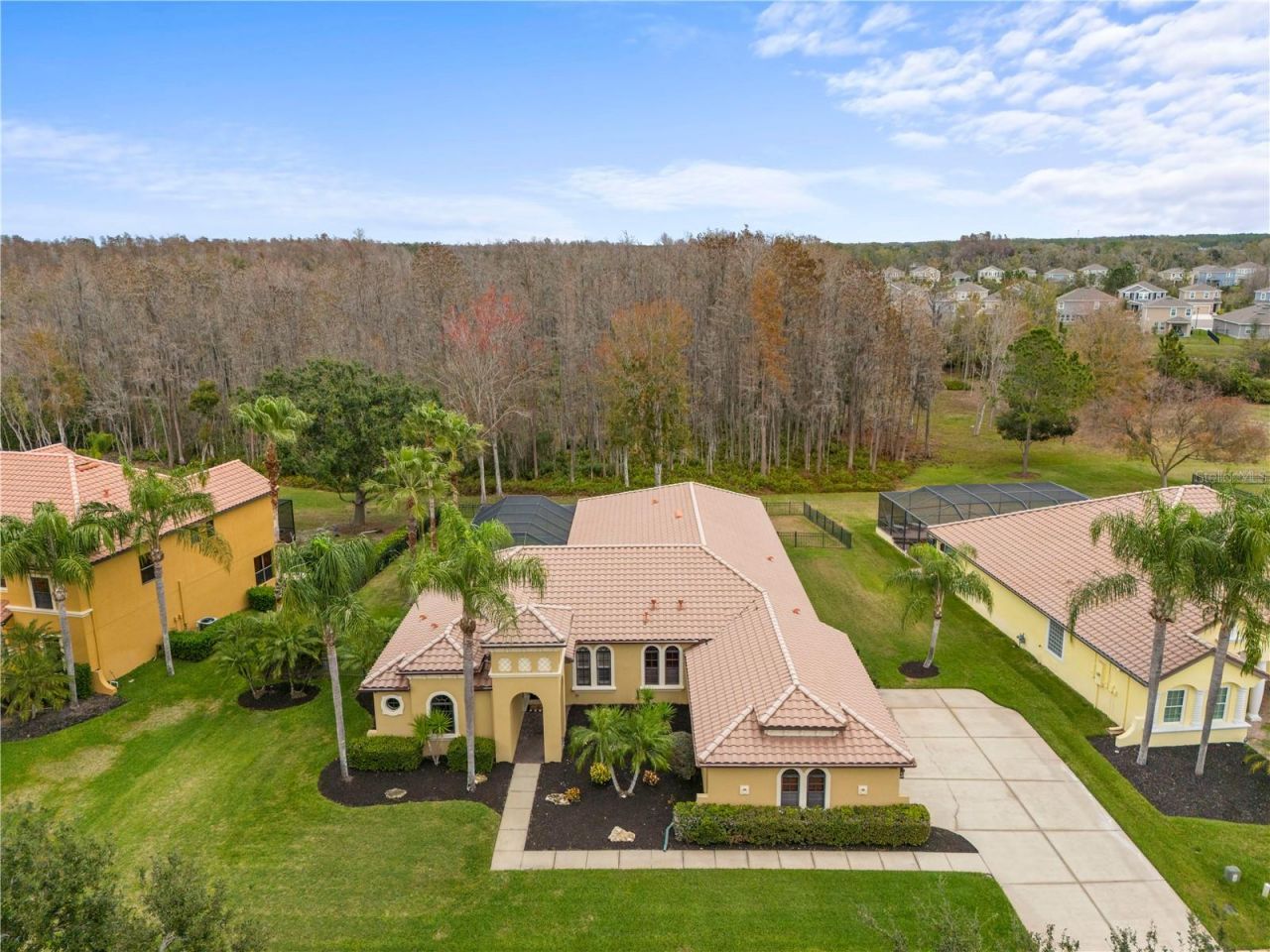 3640 Ballastone Drive, Land O Lakes, FL 34638 Photo