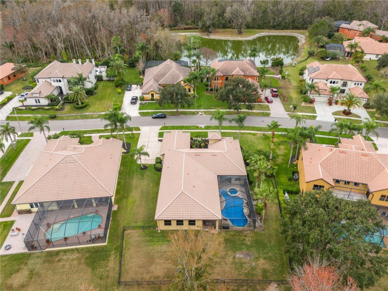 3640 Ballastone Drive, Land O Lakes, FL 34638 Photo