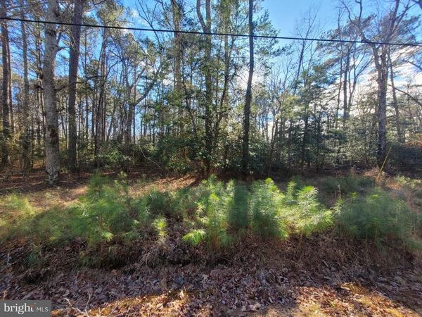 00 LOT 82 ELMINGTON PLACE, HEATHSVILLE, VA 22473