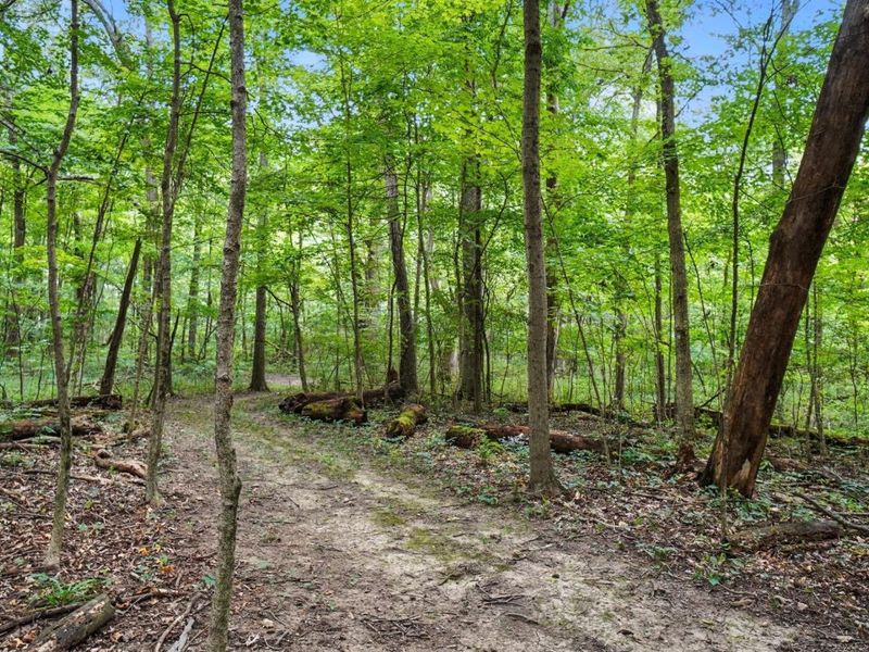 6701 Miller Paul Road, Westerville, OH 43082 Photo 117