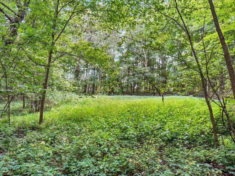 6701 Miller Paul Road, Westerville, OH 43082 Photo 119