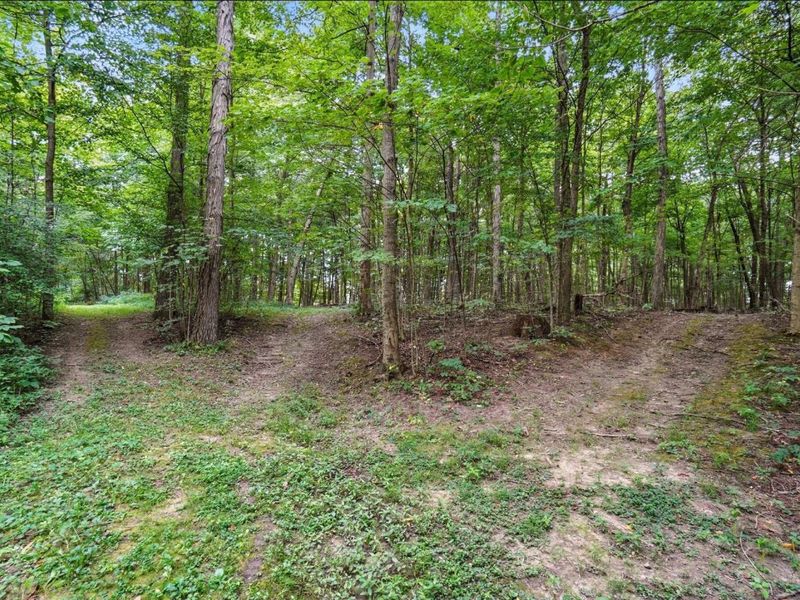 6701 Miller Paul Road, Westerville, OH 43082 Photo 120