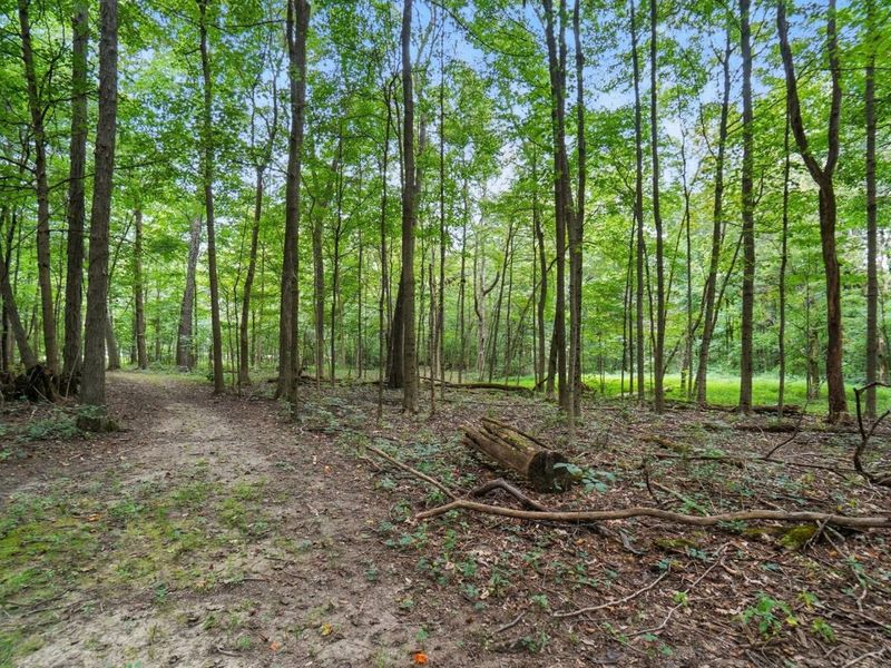 6701 Miller Paul Road, Westerville, OH 43082 Photo 122