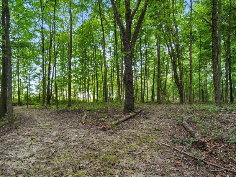 6701 Miller Paul Road, Westerville, OH 43082 Photo 123