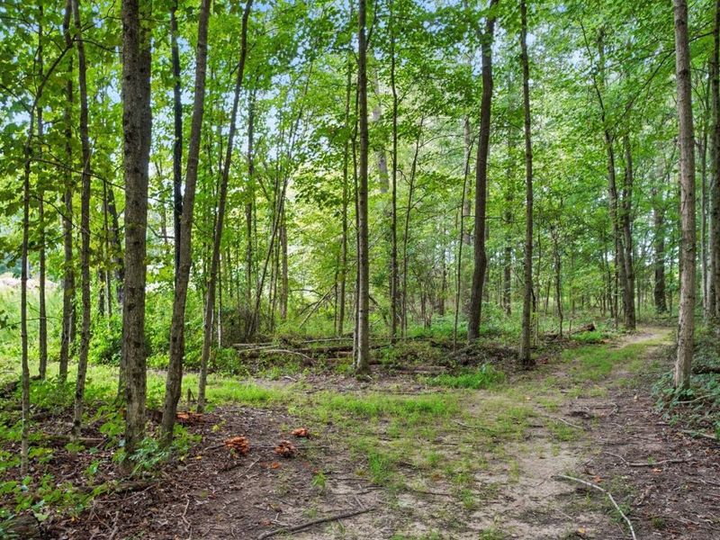 6701 Miller Paul Road, Westerville, OH 43082 Photo 125