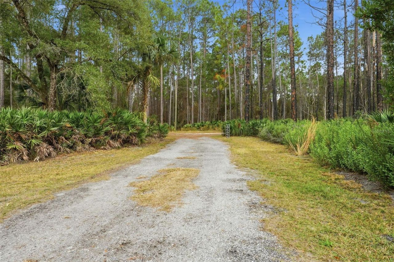 104 Ferncreek Drive, Georgetown, FL 32139 Photo