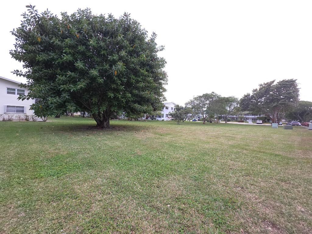 204 Kent L, Unit L, West Palm Beach, FL 33417 Photo