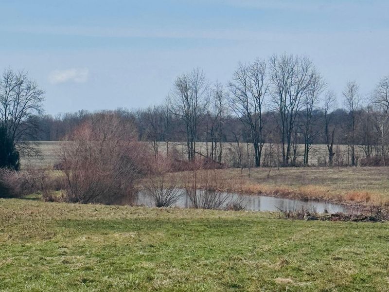 12183 Young Road, Amanda, OH 43102 Photo 37