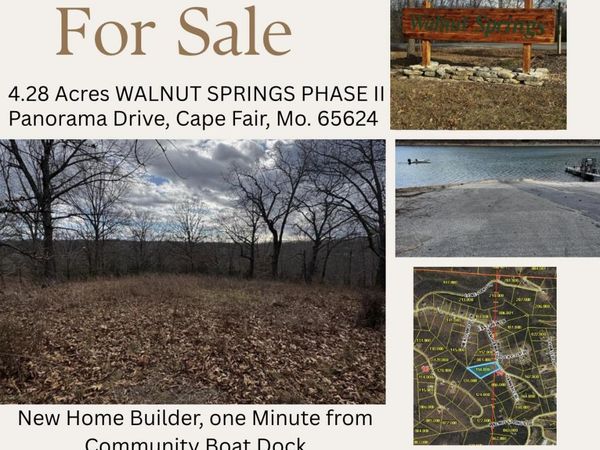 000 Panorama Drive , Cape Fair, MO 65624