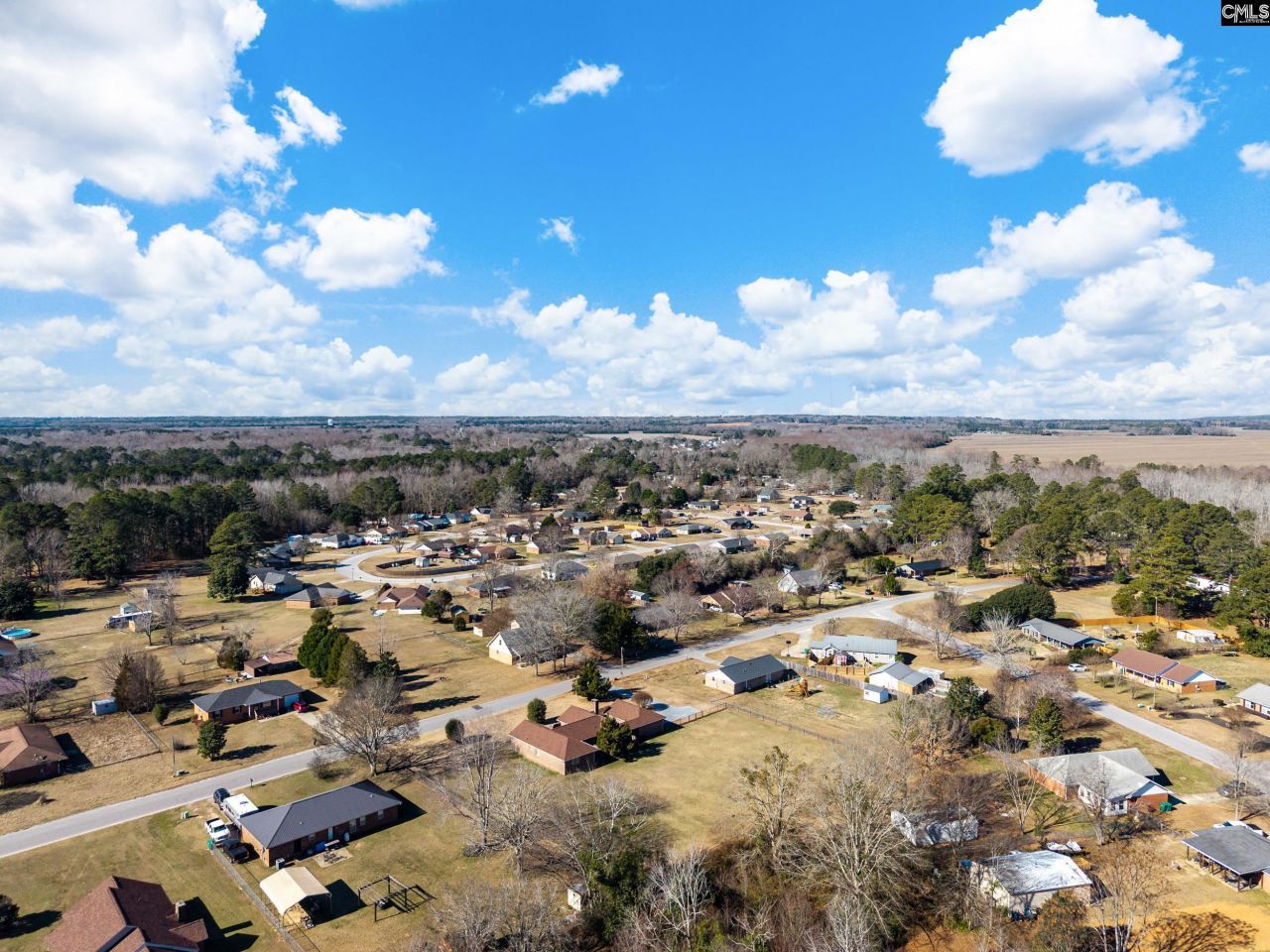 3315 Lee Altman Drive Photo 29