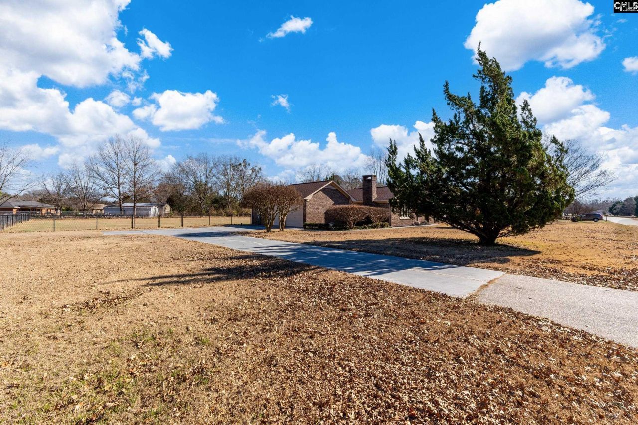 3315 Lee Altman Drive Photo 5