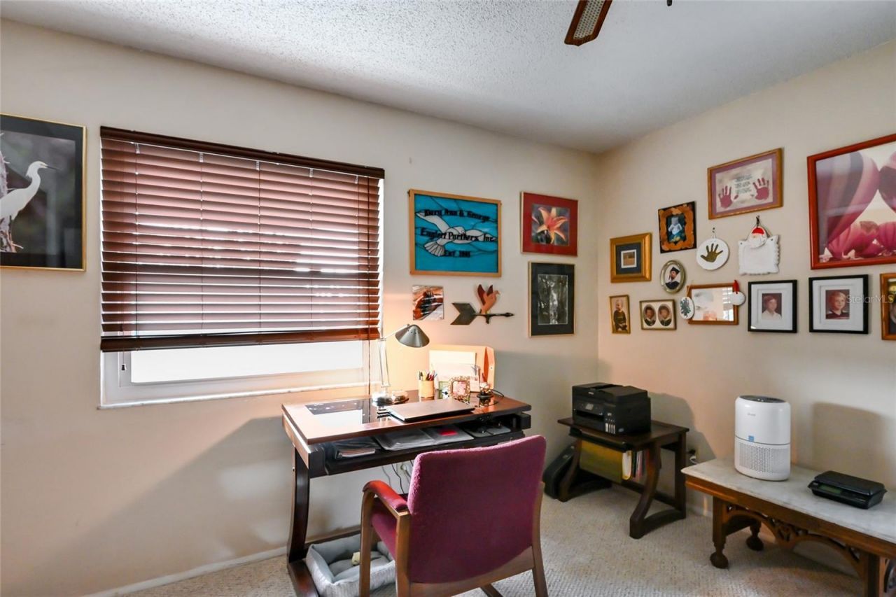 898 Bayshore Drive, Terra Ceia, FL 34250 Photo