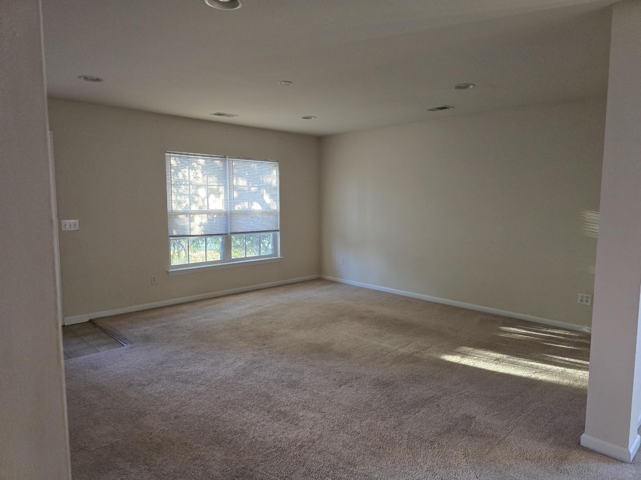 1070 Briar Rose Lane Photo 10