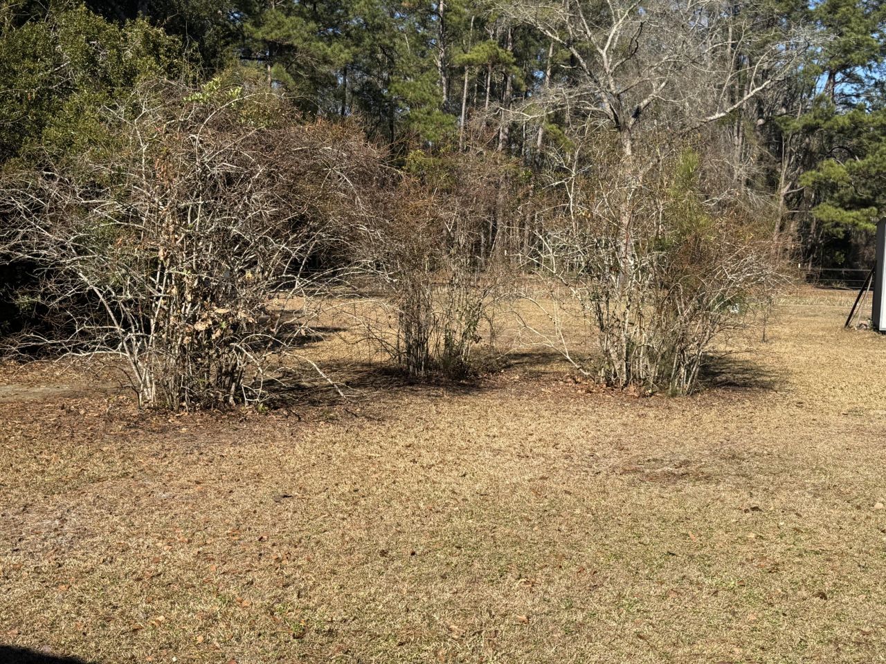 1002 Poplar Street Photo 11