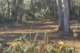 1002 Poplar Street photo 4