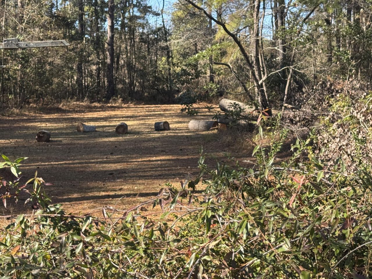 1002 Poplar Street Photo 6