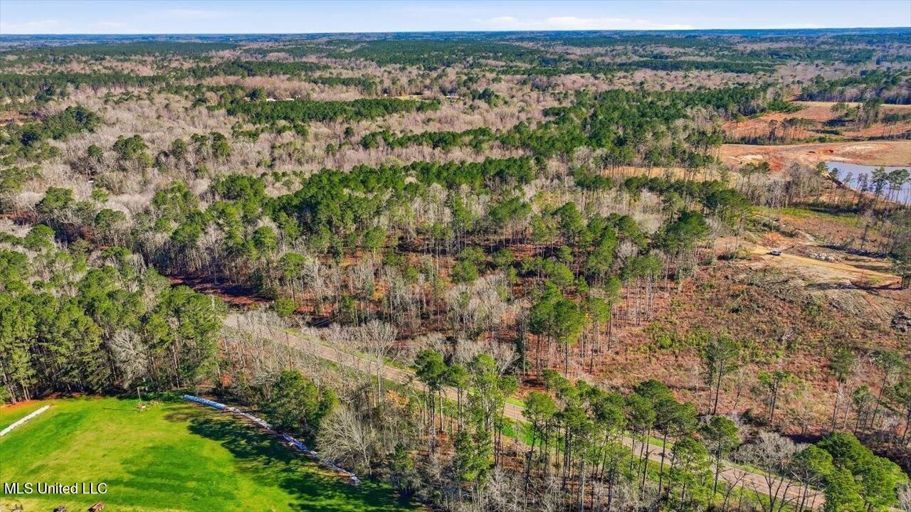 120 Mary Bertie Drive, Mendenhall, MS 39114 Main Photo