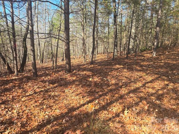 lot 60 Lake Adger Parkway , Mill Spring, NC 28756