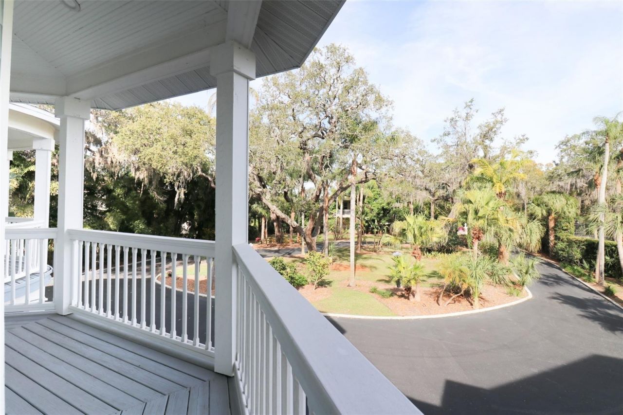 504 Hillsborough Street, Palm Harbor, FL 34683 Photo