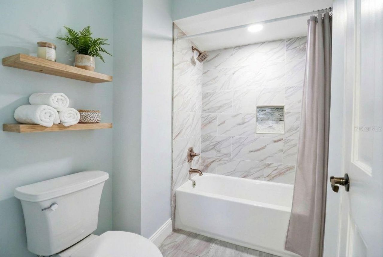 504 Hillsborough Street, Palm Harbor, FL 34683 Photo