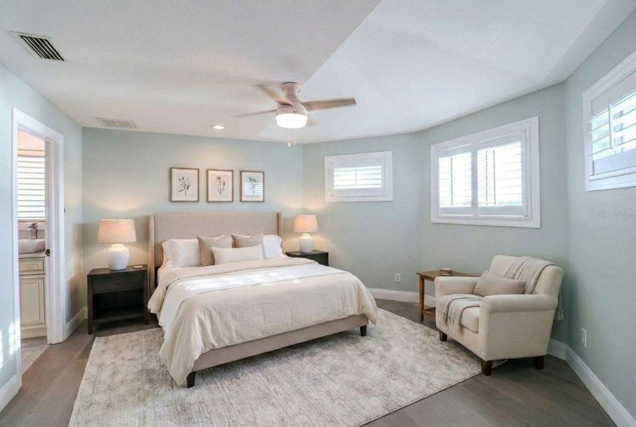 504 Hillsborough Street, Palm Harbor, FL 34683 Photo