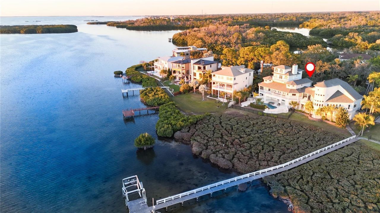 504 Hillsborough Street, Palm Harbor, FL 34683 Photo