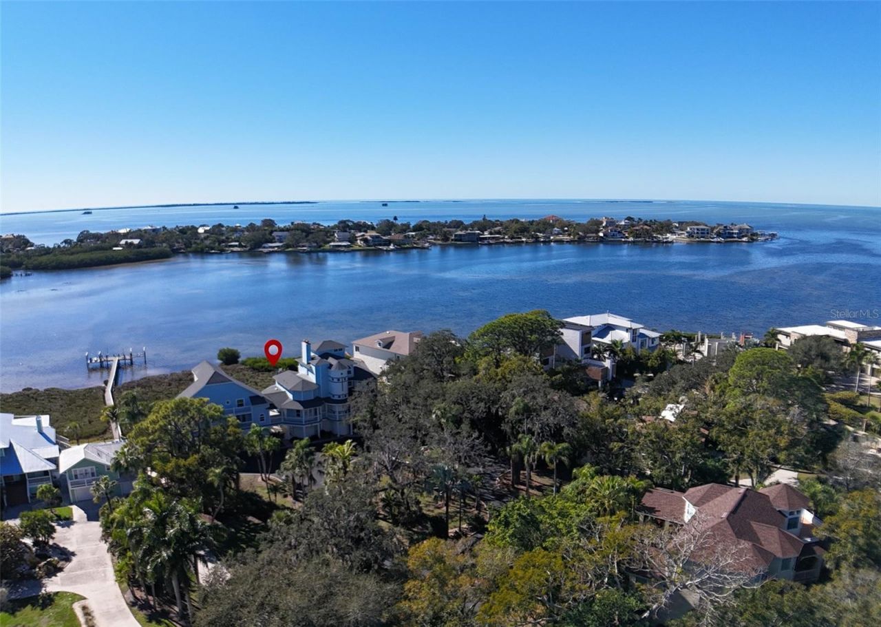 504 Hillsborough Street, Palm Harbor, FL 34683 Photo