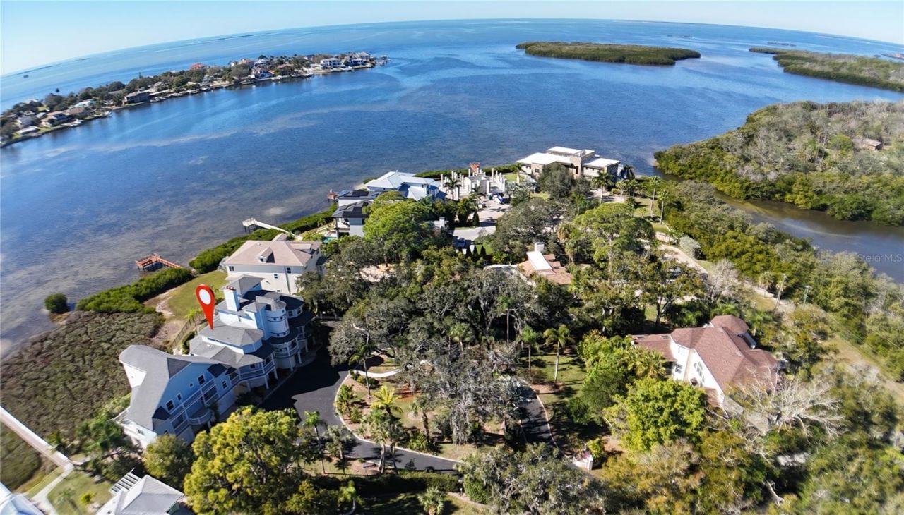 504 Hillsborough Street, Palm Harbor, FL 34683 Photo