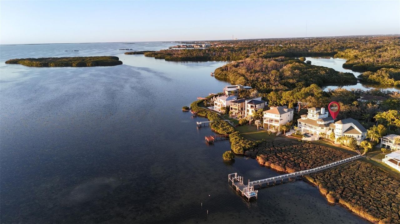 504 Hillsborough Street, Palm Harbor, FL 34683 Photo