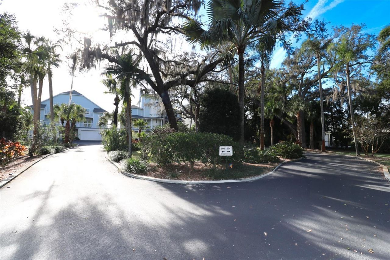 504 Hillsborough Street, Palm Harbor, FL 34683 Photo