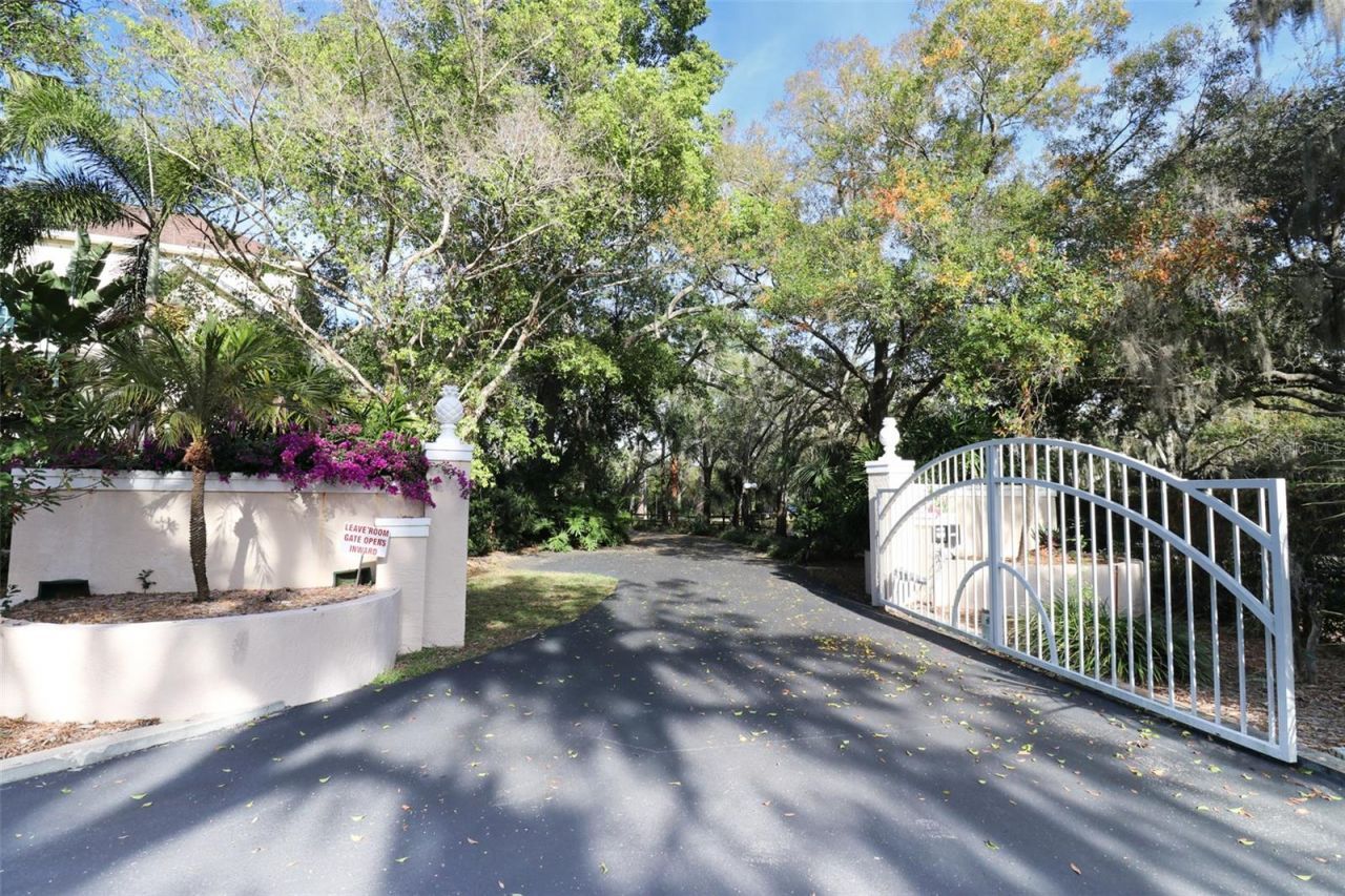 504 Hillsborough Street, Palm Harbor, FL 34683 Photo